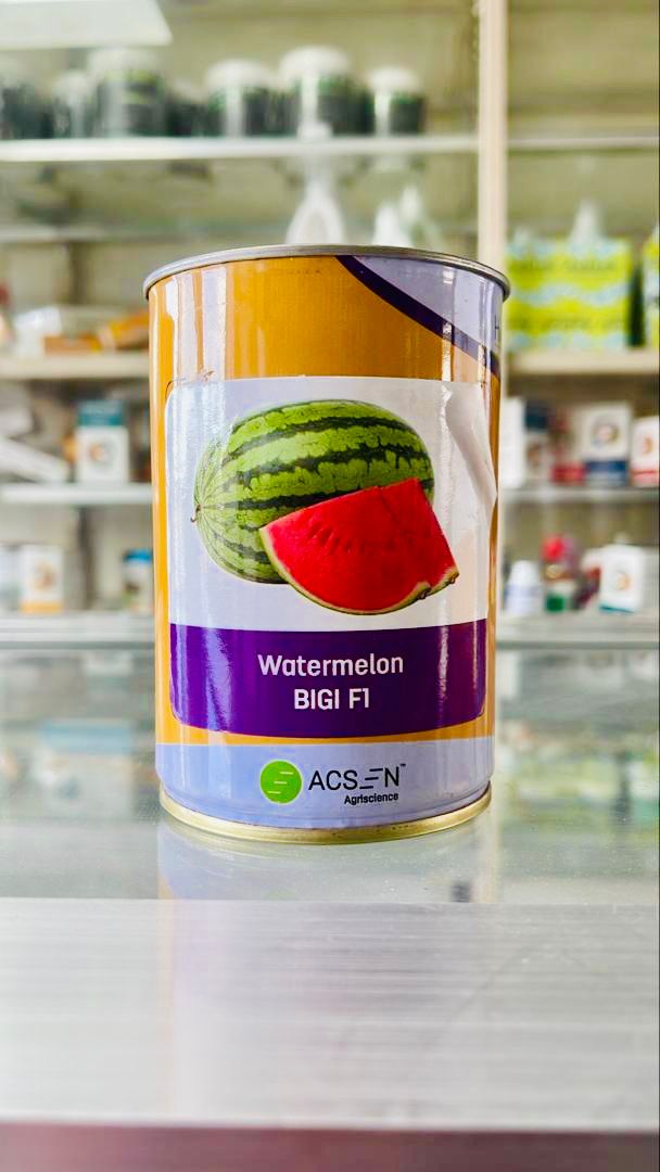 Water Melon Bigi F1  100g