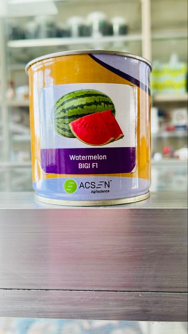 Water Melon Bigi F1  50g