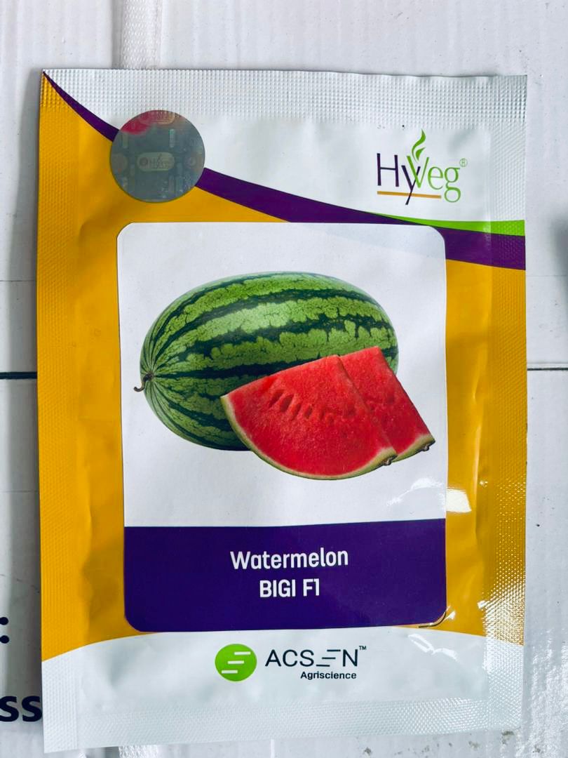 Water Melon Bigi F1  25g