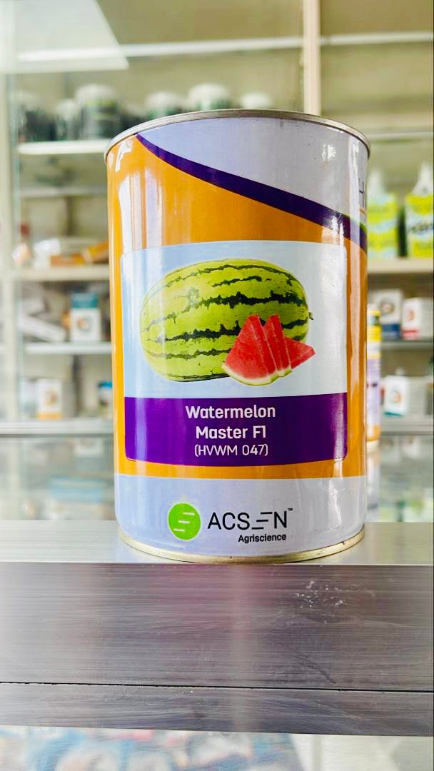 Water Melon Master F1  250g