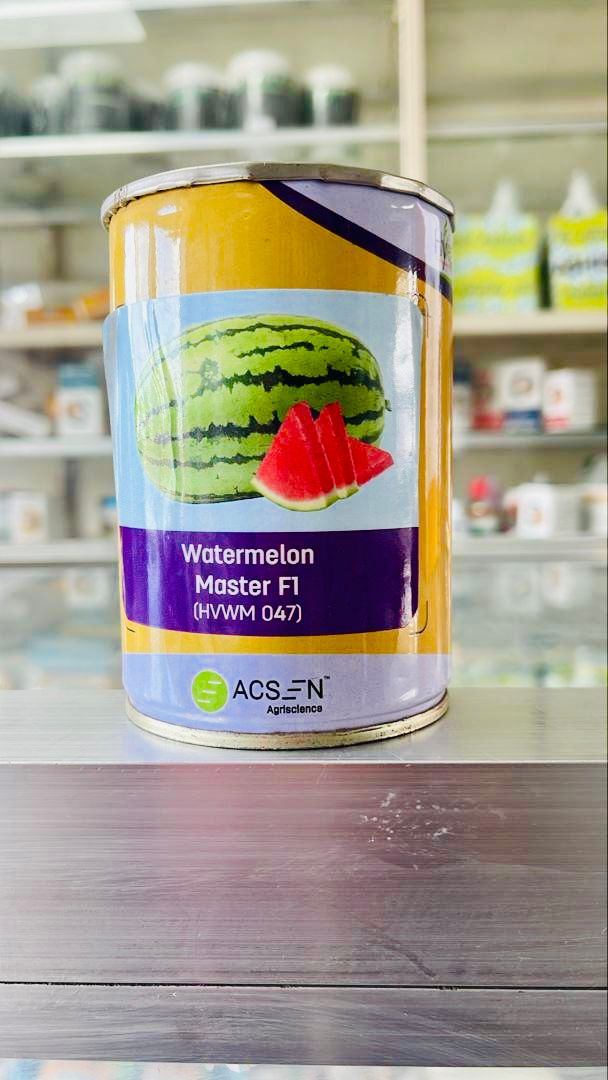 Water Melon Master F1  100g