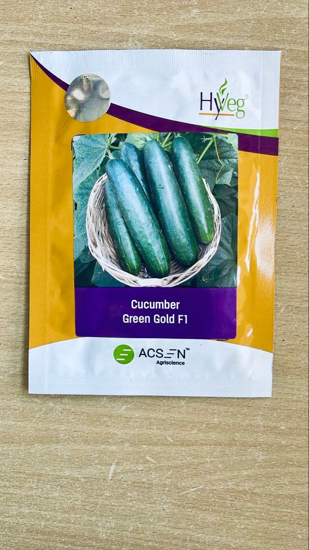 Cucumber Green Gold F1  25g