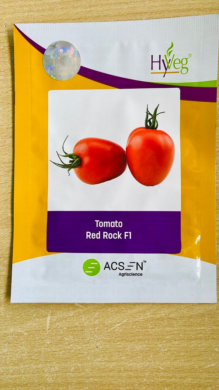 Tomato Red Rock F1  25g