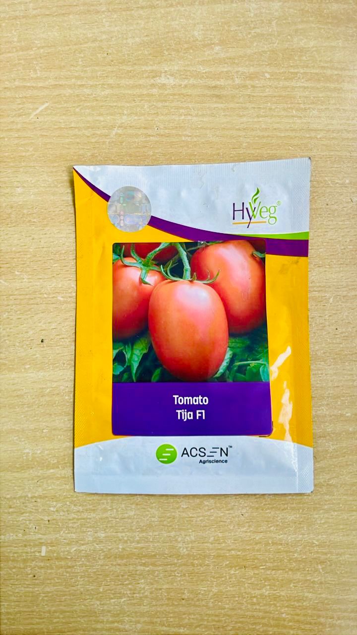 Tomato Tija  F1  1g