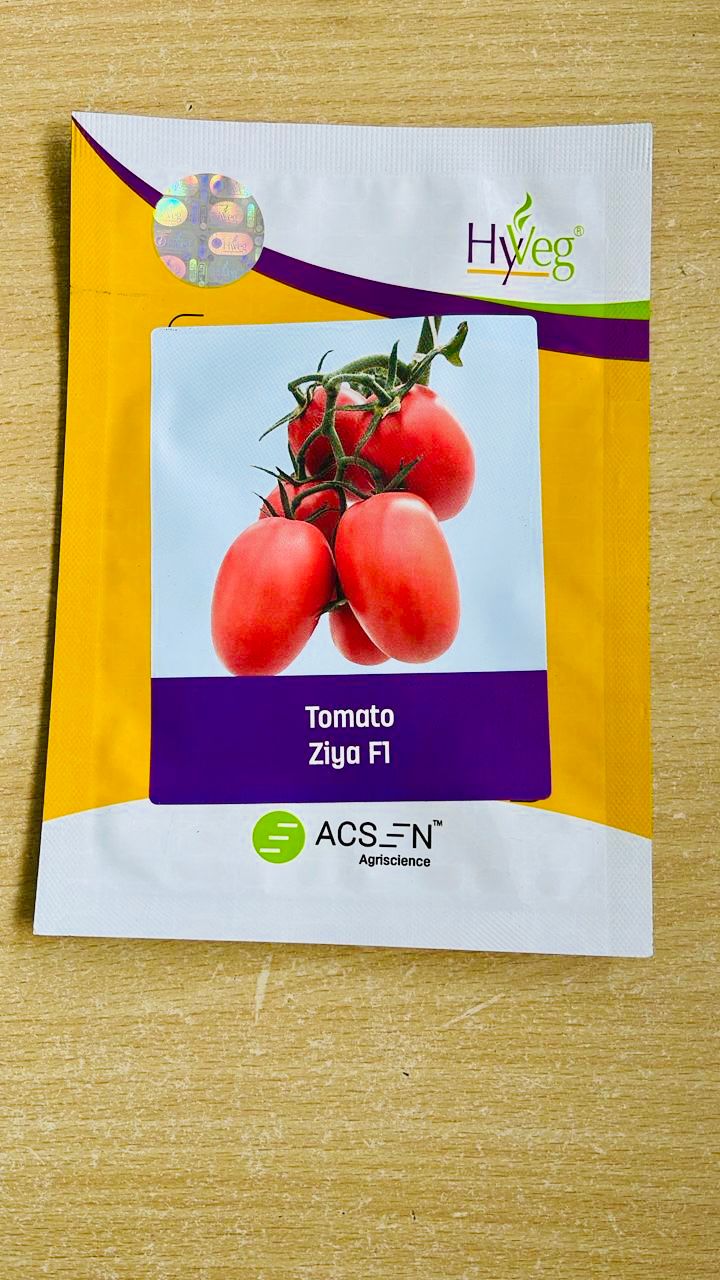 Tomato Ziya  F1  50g