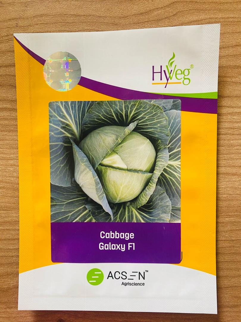 Cabbage Galaxy F1  25g