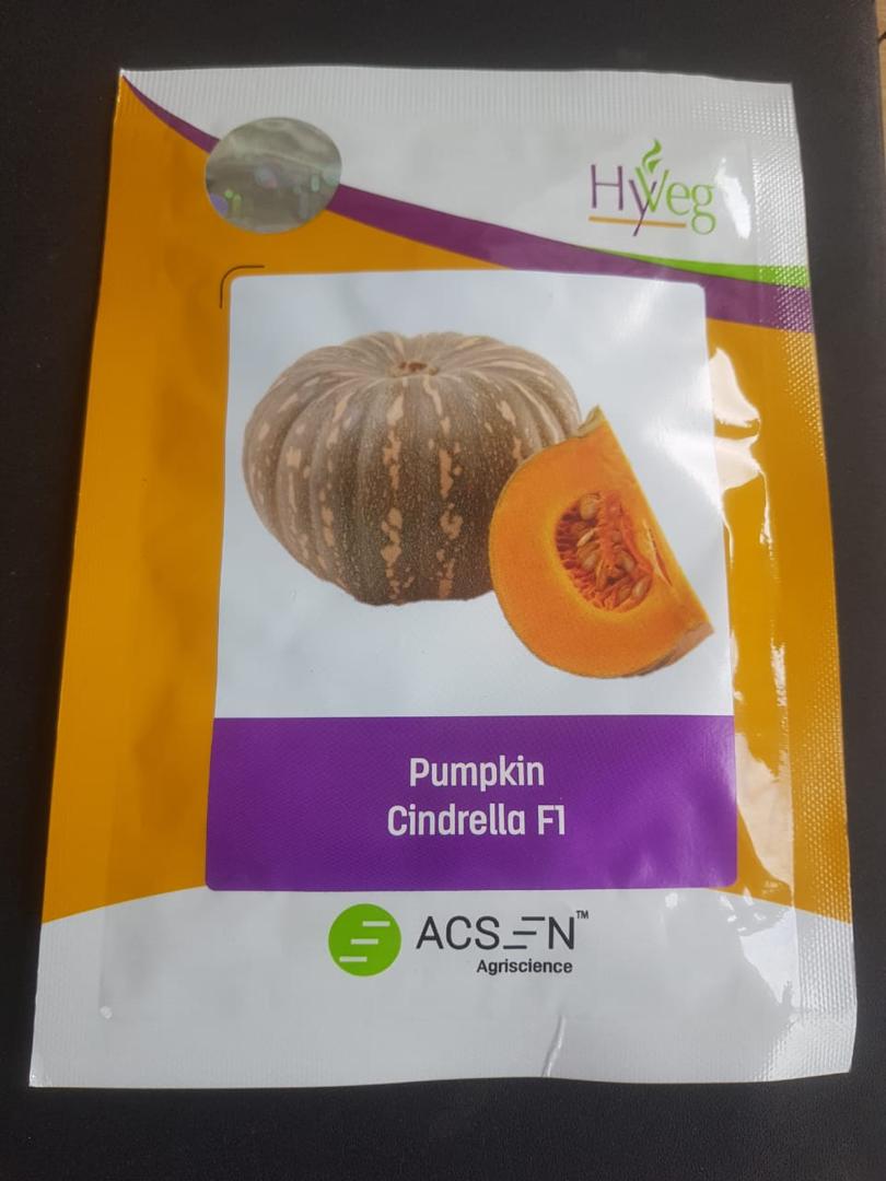 Pumpkin Cindrella  F1  100g