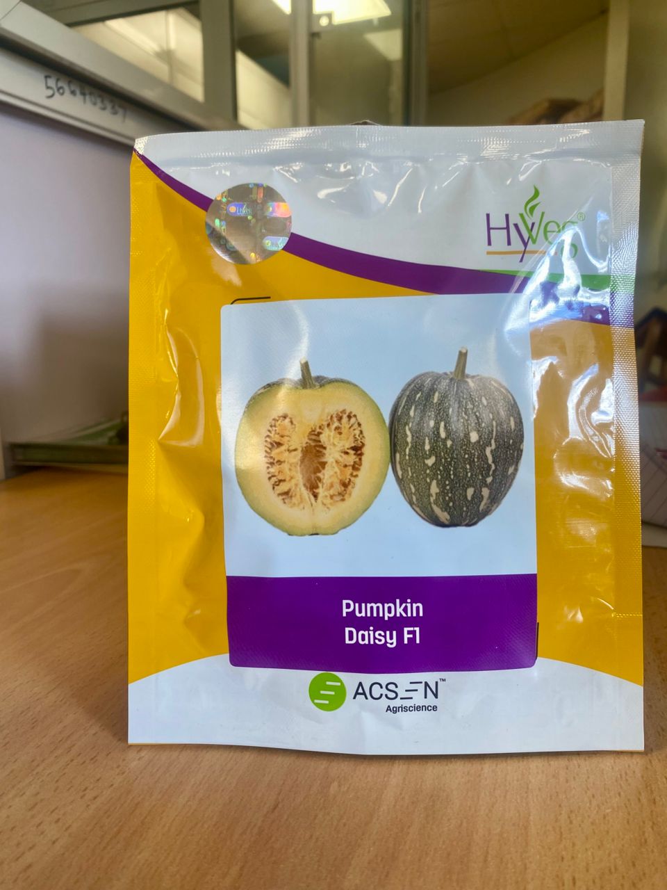 Pumpkin Daisy F1  25g