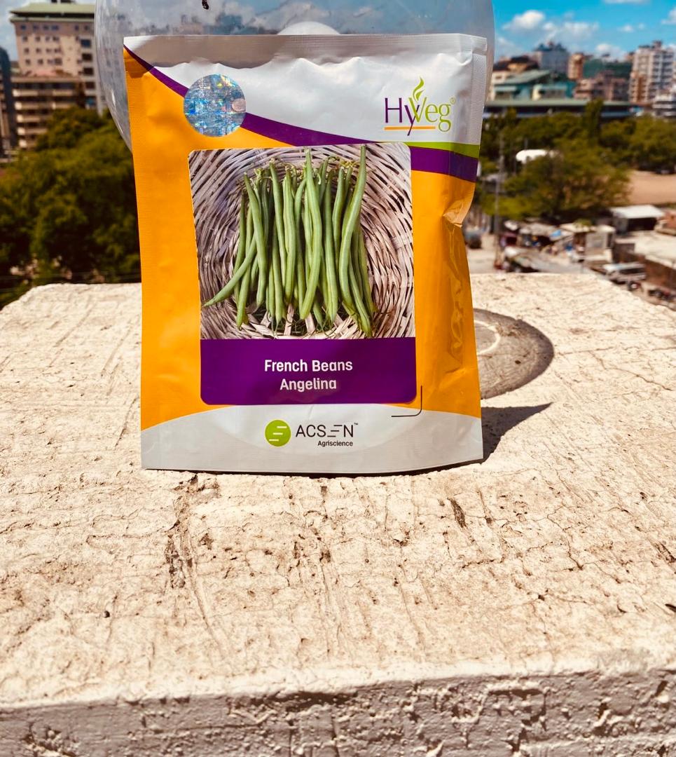 French Beans Angelina  1Kg